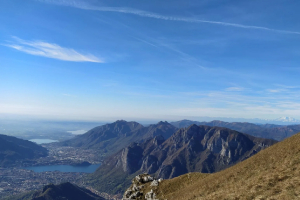 Dal Monte Due Mani